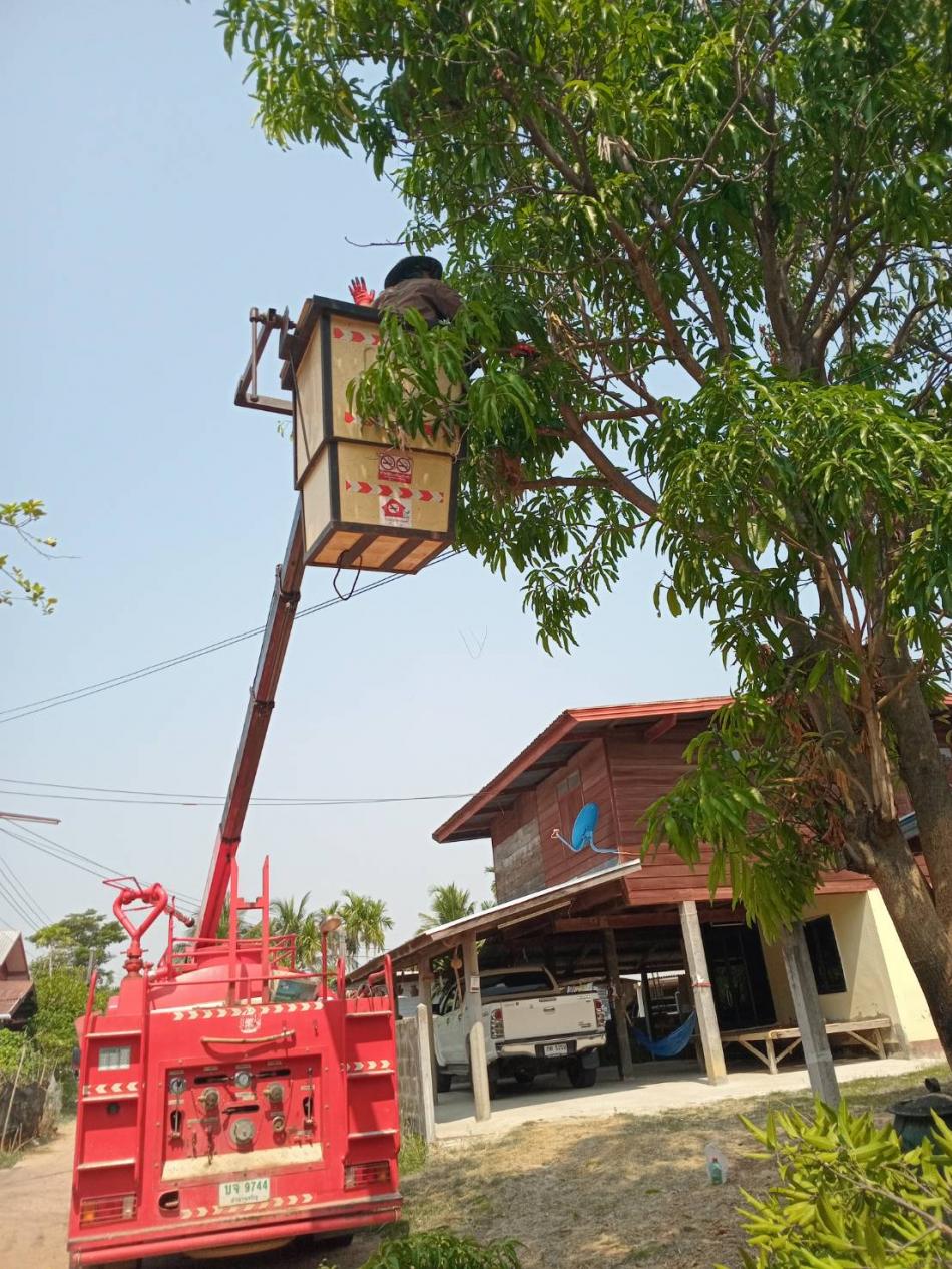 ปฏิบัติงานตัดกิ่งไม้รอบหมู่บ้านตามแผนพัฒนาทุกหมู่บ้าน/ซ่อมแซมระบบประปาหมู่บ้านบ๋าเจริญ หมู่ที่ 7